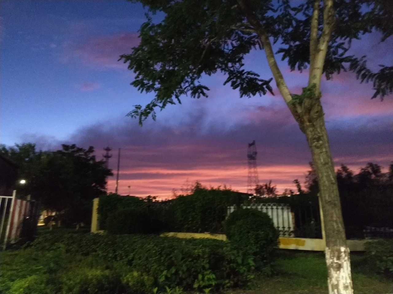 工作后天天想辞职