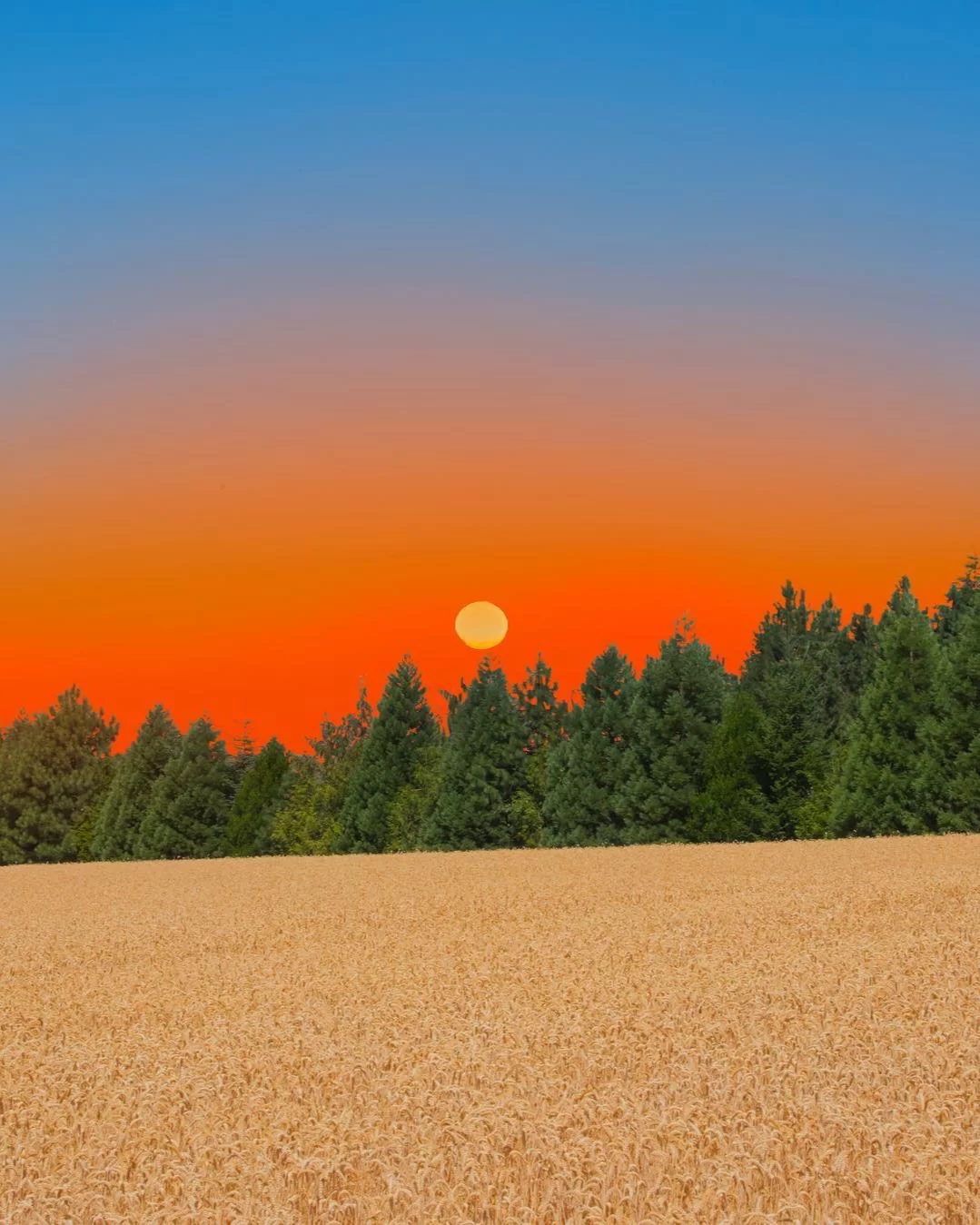 关于自建导航站