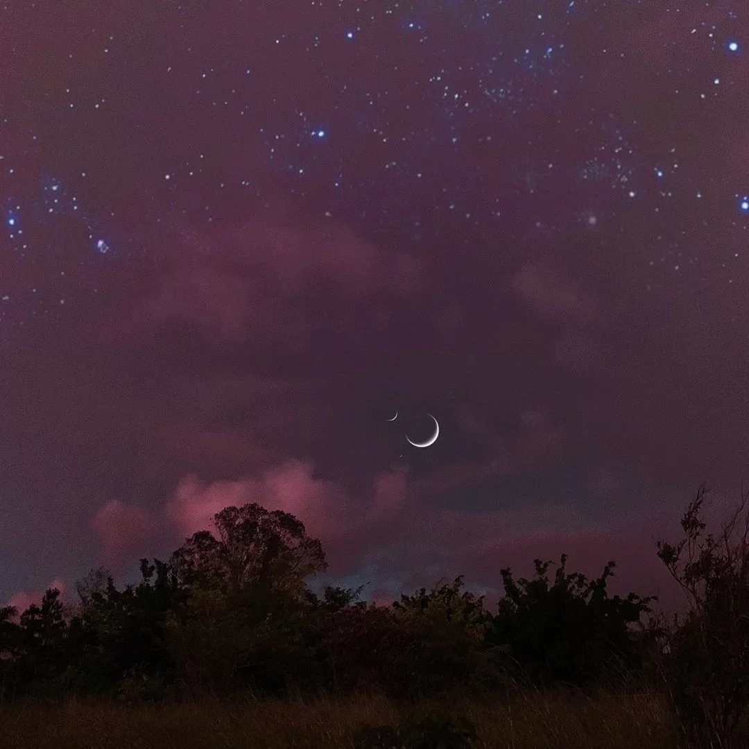 HTML+CSS学习记录