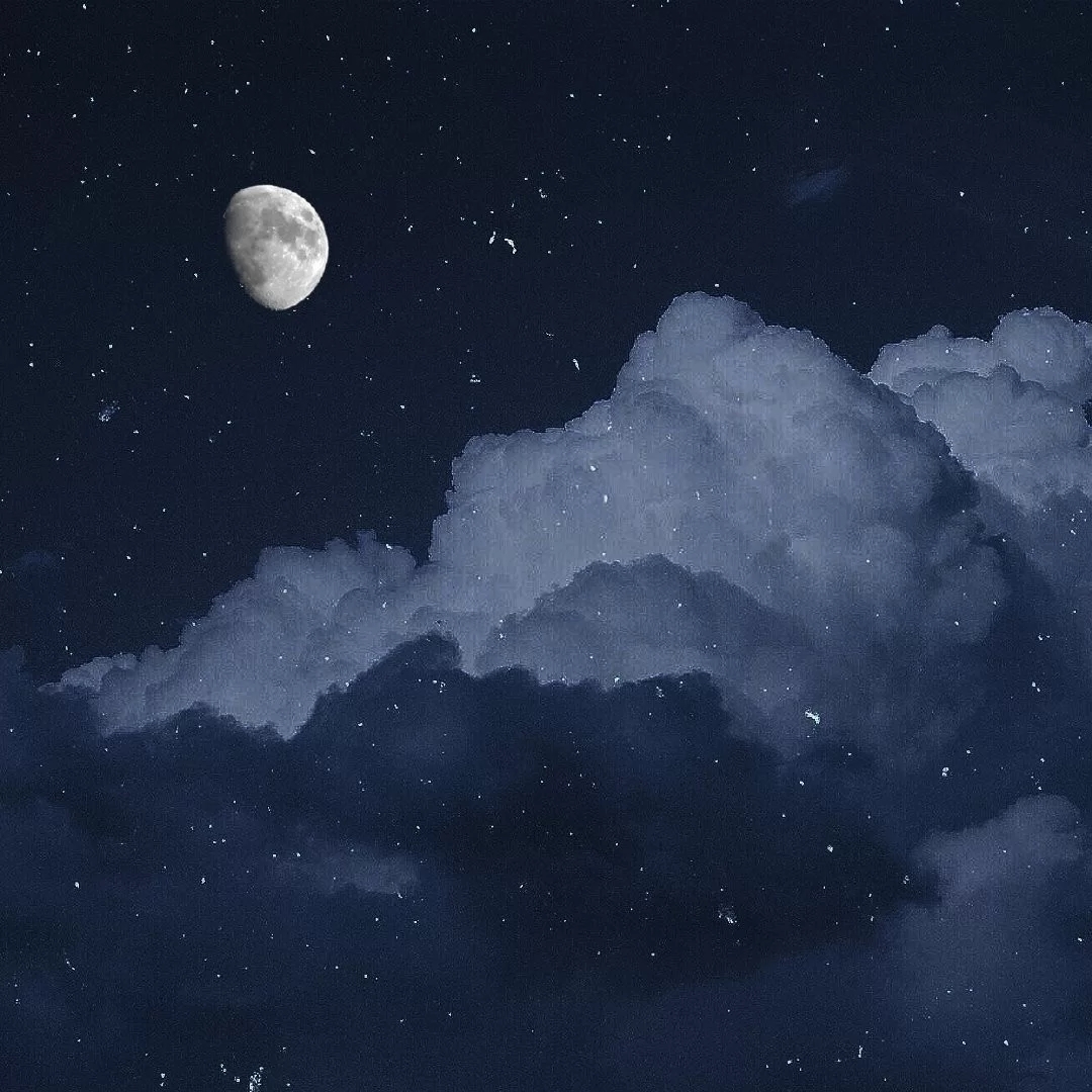 等待查询档案状态