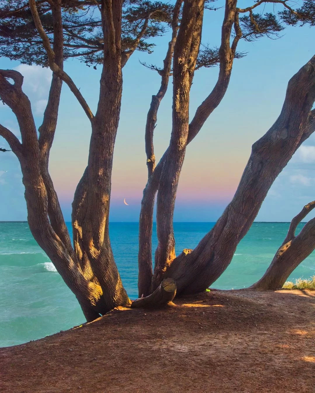 送你一朵小红花